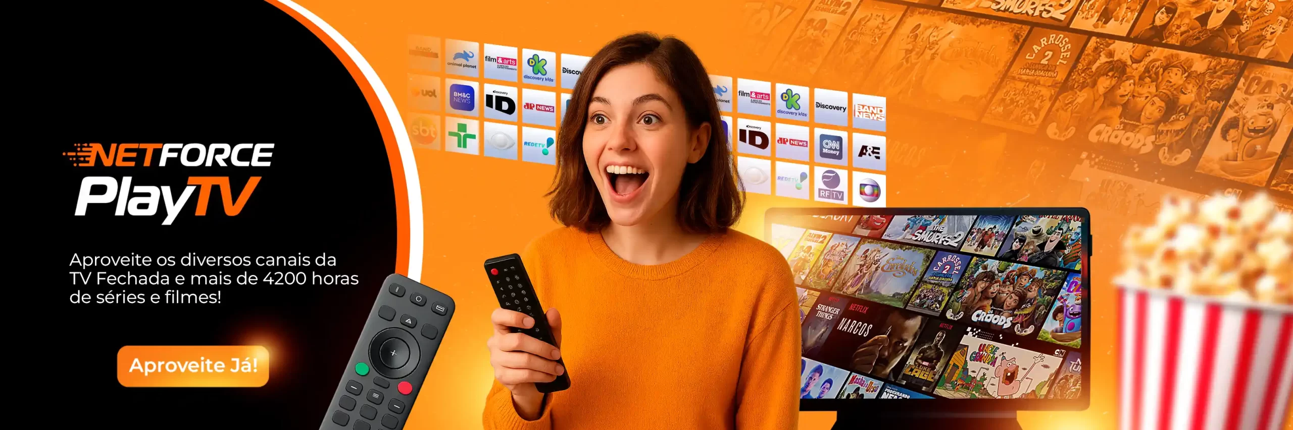 netforce 20.08 01deskwp